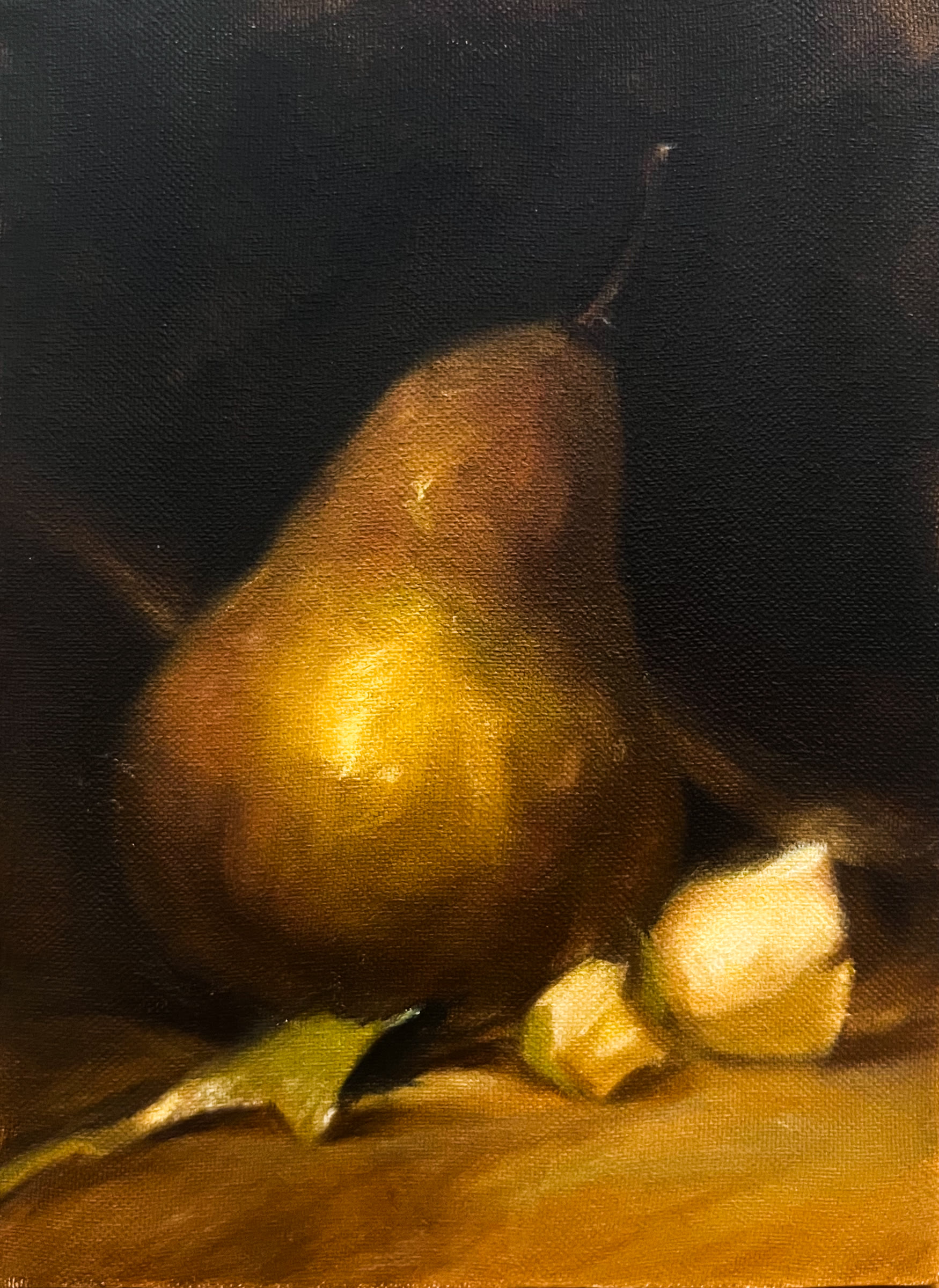 Oil study of a pear and pale folded forms emerging from a dark ground